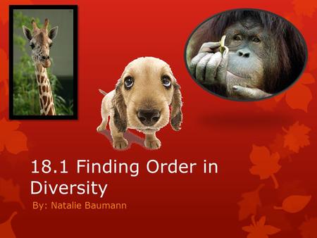 18.1 Finding Order in Diversity By: Natalie Baumann.