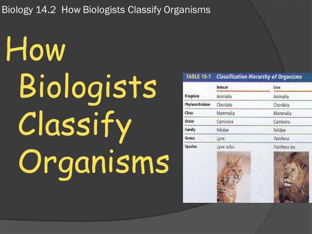 Biology 14.2 How Biologists Classify Organisms