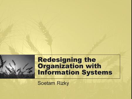 Redesigning the Organization with Information Systems Soetam Rizky.