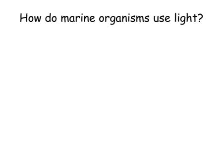 How do marine organisms use light?. Light penetration in the photic zone oceanexplorer.noaa.gov What do you notice? What do you wonder?