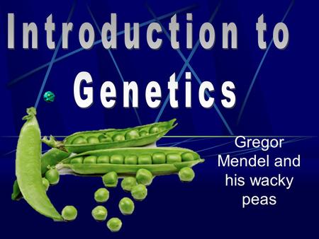 Gregor Mendel and his wacky peas