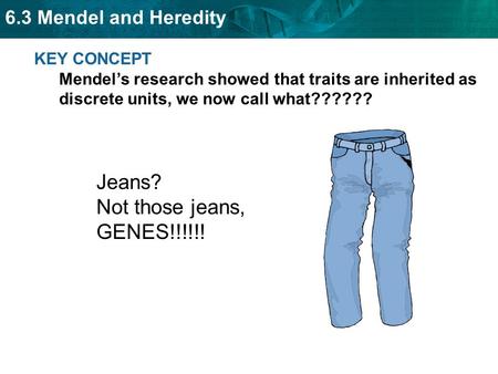 Jeans? Not those jeans, GENES!!!!!!