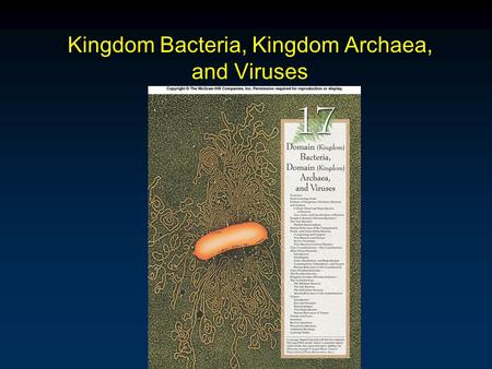 Kingdom Bacteria, Kingdom Archaea, and Viruses. Outline Cellular Detail and Reproduction of Bacteria Classification of Bacteria Kingdom Bacteria  Phylum.