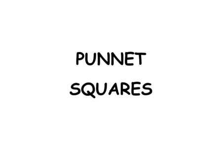 PUNNET SQUARES “The law of Independent Assortment” Alleles of different genes separate completely from one another during gamete formation XY X Y.