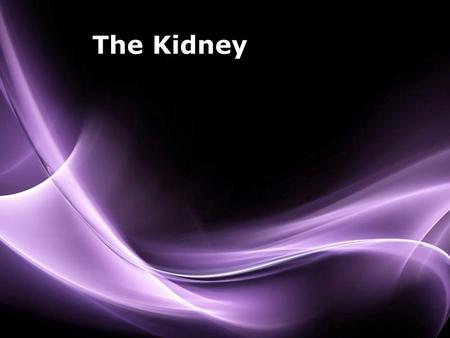 The Kidney.