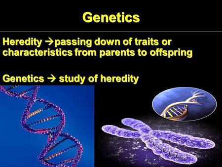 Genetics Heredity  passing down of traits or characteristics from parents to offspring Genetics  study of heredity.