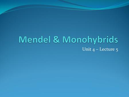Unit 4 – Lecture 5. Mendel Gregor Mendel – father of genetics / hereditary sci genetics – branch of biology which studies heredity heredity – passing.