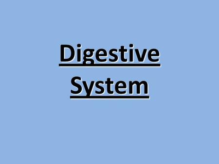 Digestive System Digestion Phases Include 1.Ingestion 2.Movement 3.Mechanical and Chemical Digestion 4.Absorption 5.Elimination.