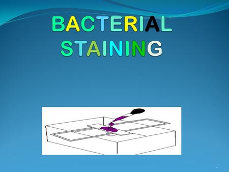 BACTERIAL STAINING.