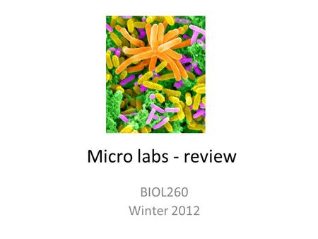 Micro labs - review BIOL260 Winter 2012. Ubiquity What organisms grow best at room temperature? ___°C? At body temperature? = ___°C? What kind of medium.