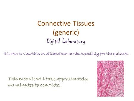 Connective Tissues (generic) Digital Laboratory It’s best to view this in Slide Show mode, especially for the quizzes. This module will take approximately.