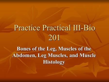 Practice Practical III-Bio 201 Bones of the Leg, Muscles of the Abdomen, Leg Muscles, and Muscle Histology.
