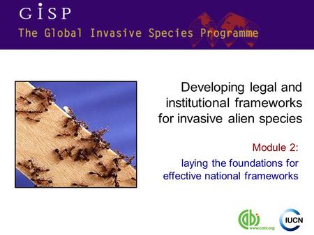 Module 2: laying the foundations for effective national frameworks Developing legal and institutional frameworks for invasive alien species.