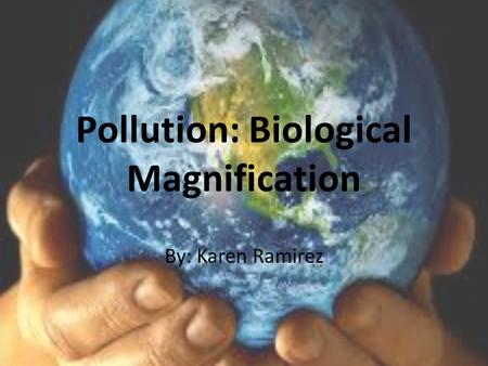 Pollution: Biological Magnification By: Karen Ramirez.