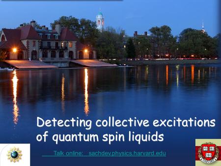 Detecting collective excitations of quantum spin liquids Talk online: sachdev.physics.harvard.edu Talk online: sachdev.physics.harvard.edu.