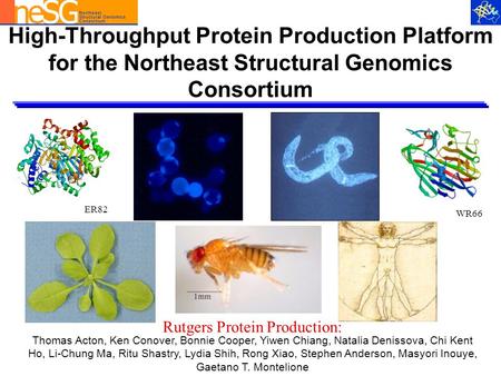 High-Throughput Protein Production Platform for the Northeast Structural Genomics Consortium ER82 WR66 Thomas Acton, Ken Conover, Bonnie Cooper, Yiwen.
