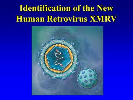 Identification of the New Human Retrovirus XMRV. Disclosures Research Support –Abbott Laboratories Patent Licenses and Consulting –Abbott Laboratories.