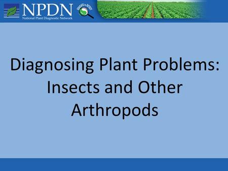 Diagnosing Plant Problems: Insects and Other Arthropods.