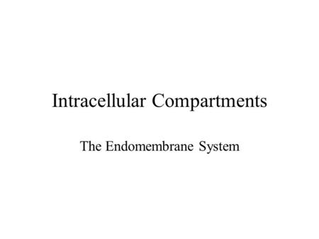 Intracellular Compartments
