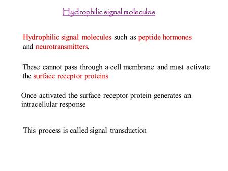 Hydrophilic signal molecules Hydrophilic signal moleculespeptide hormones neurotransmitters Hydrophilic signal molecules such as peptide hormones and neurotransmitters.