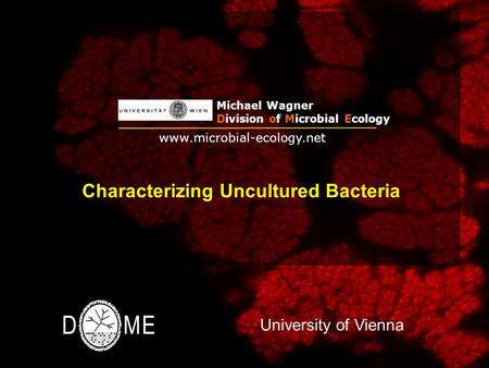 Characterizing Uncultured Bacteria Michael Wagner Division of Microbial Ecology www.microbial-ecology.net University of Vienna.