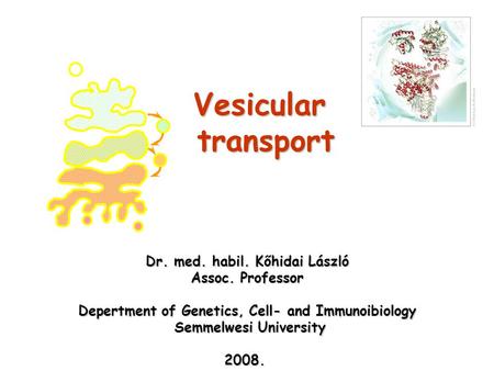 Vesicular transport Dr. med. habil. Kőhidai László Assoc. Professor Depertment of Genetics, Cell- and Immunoibiology Semmelwesi University Semmelwesi University2008.