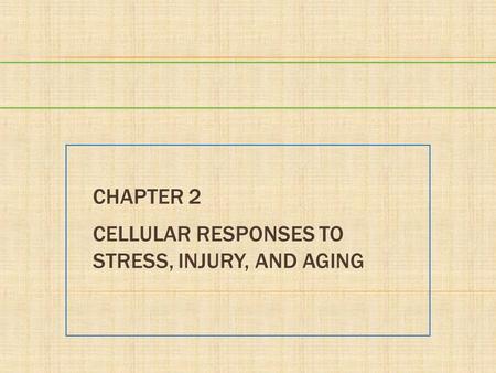 Chapter 2 Cellular Responses to Stress, Injury, and Aging