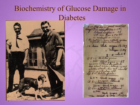 Text 1 Biochemistry of Glucose Damage in Diabetes.