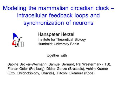 Modeling the mammalian circadian clock – intracellular feedback loops and synchronization of neurons Hanspeter Herzel Institute for Theoretical Biology.