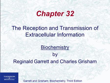 Chapter 32 The Reception and Transmission of Extracellular Information