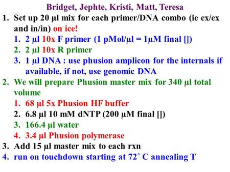 Bridget, Jephte, Kristi, Matt, Teresa 1.Set up 20 µl mix for each primer/DNA combo (ie ex/ex and in/in) on ice! 1.2 µl 10x F primer (1 pMol/µl = 1µM final.