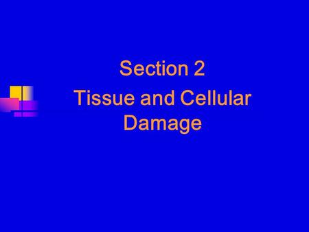 Section 2 Tissue and Cellular Damage. 1. Degenerations Definition: When cellular injury is sublethal and sustained, cells and tissues tend to accumulate.