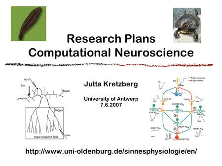 Research Plans Computational Neuroscience Jutta Kretzberg University of Antwerp 7.6.2007