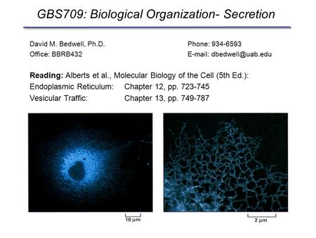 GBS709: Biological Organization- Secretion David M. Bedwell, Ph.D.Phone: 934-6593 Office: BBRB432  Reading: Alberts et al., Molecular.