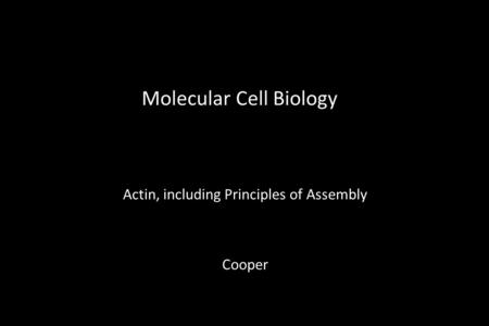 Molecular Cell Biology Actin, including Principles of Assembly Cooper.