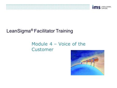 LeanSigma ® Facilitator Training Module 4 – Voice of the Customer.