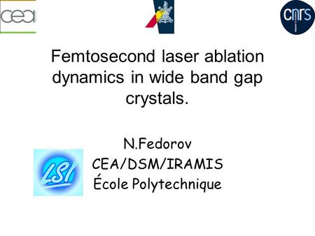 Femtosecond laser ablation dynamics in wide band gap crystals. N.Fedorov CEA/DSM/IRAMIS École Polytechnique.