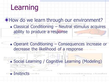 Learning How do we learn through our environment? Classical Conditioning – Neutral stimulus acquires ability to produce a response Operant Conditioning.
