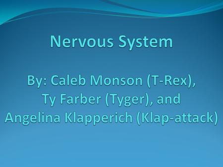 The nervous system very complex system in the body has many, many parts divided into two main systems -- - central nervous system (CNS) is made of the.
