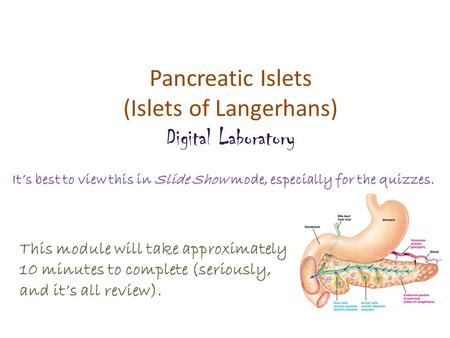 Pancreatic Islets (Islets of Langerhans) Digital Laboratory It’s best to view this in Slide Show mode, especially for the quizzes. This module will take.
