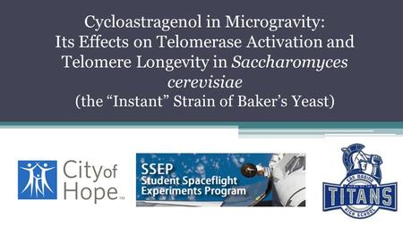 Cycloastragenol in Microgravity: Its Effects on Telomerase Activation and Telomere Longevity in Saccharomyces cerevisiae (the “Instant” Strain of Baker’s.