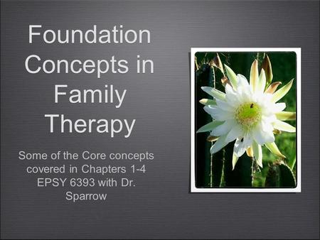 Foundation Concepts in Family Therapy