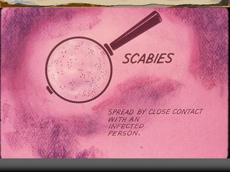 Scabies  This is caused by mites of the Sarcoptes family  Each mammalian species has its own species of mite, but these mites may reside temporally.