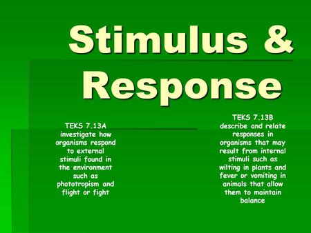 Stimulus & Response TEKS 7.13B describe and relate responses in organisms that may result from internal stimuli such as wilting in plants and fever or.