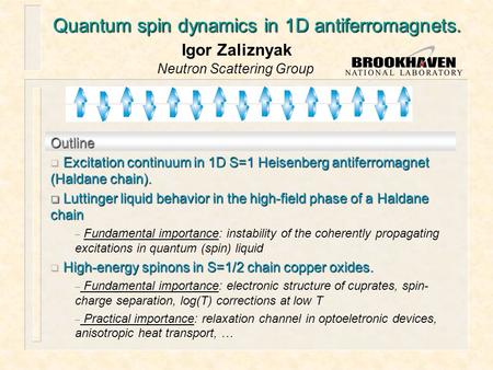 Quantum spin dynamics in 1D antiferromagnets.