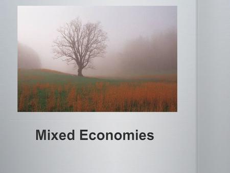 Mixed Economies.