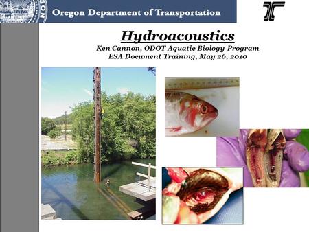 Hydroacoustics Ken Cannon, ODOT Aquatic Biology Program ESA Document Training, May 26, 2010.
