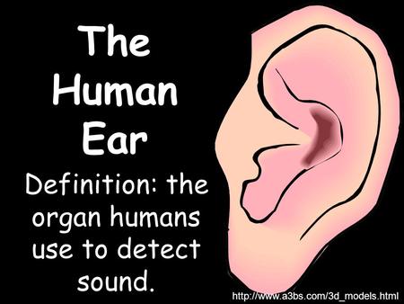 Definition: the organ humans use to detect sound.