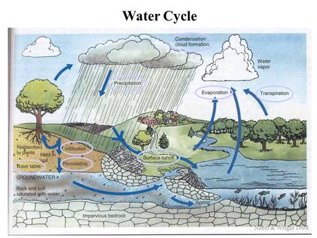 Water Cycle Nebel & Wright 1998. Luckily, receiving waters i.e. reservoirs, lakes and rivers between source and treatment serve as a buffer, since.