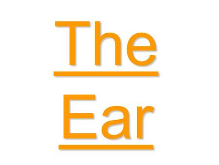 The Ear Ear canal Ear drumCochlea Auditory nerve Semi- circular canals - The Ear Pinna Stirrup AnvilHammer Eustachian tube.